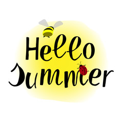 Hello Summer hand drawn lettering phrase with ladybug and bumblbee isolated on white background. Handwritten calligraphy design for greeting cards, posters, banners, cloth, textile, fabric. Vector.
