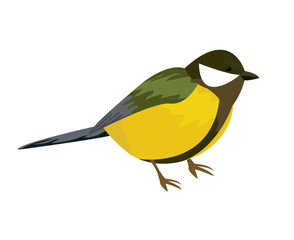  big tit illustration