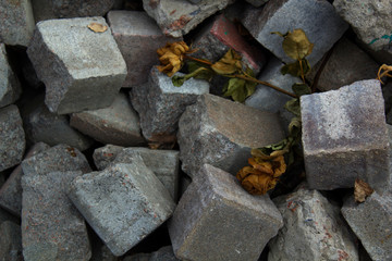 Dried roses on pile of stone bricks. Veterans, RIP, rest in peace memorial concept
