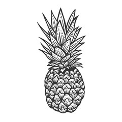 Pineapple exotic fruit sketch engraving vector illustration. Scratch board style imitation. Black and white hand drawn image.