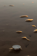A compass in the sand with some dunes in a desert or a beach. 