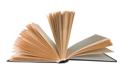 image of open book on green background