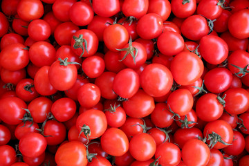 bunch of tomatoes