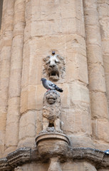 Lion head and small lion with pigeon over head