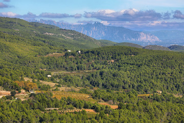 Landscape with autumn vineyards and farms