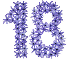 Numeral  18, eighteen, from natural flowers of hyacinth, isolated on white background