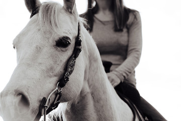 Vintage style horseback riding with horse looking at camera.