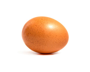 one egg on white background