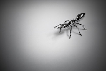 hardworking iron insect ant