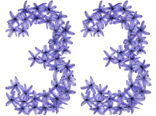 Numeral 33, thirty three, from natural flowers of hyacinth, isolated on white background