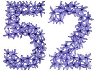 Numeral 52, fifty two, from natural flowers of hyacinth, isolated on white background