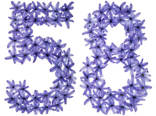 Numeral 58, fifty eight, from natural flowers of hyacinth, isolated on white background