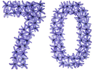 Numeral 70, seventy, from natural flowers of hyacinth, isolated on white background