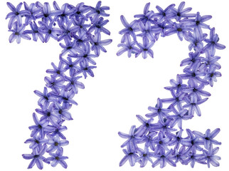 Numeral 72, seventy two, from natural flowers of hyacinth, isolated on white background