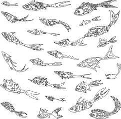 A set of contour drawings of decorative fishes