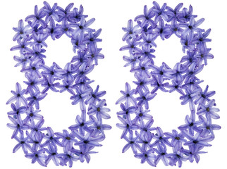 Numeral 88, eighty eight, from natural flowers of hyacinth, isolated on white background