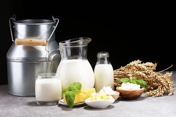 milk products - tasty healthy dairy products and milk jar and cheese
