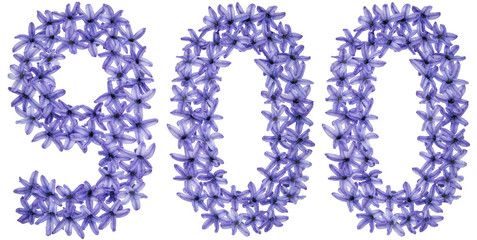 Numeral 900, nine hundred, from natural flowers of hyacinth, isolated on white background