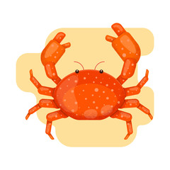 Crab in the sand. Vector illustration in flat style with grain texture.