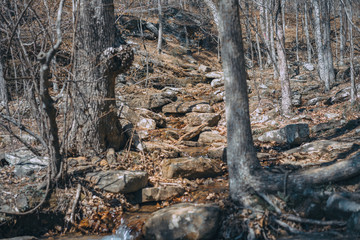 Whitaker Point Trailhead National Forest, Kings River Township, AR