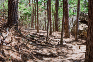 Whitaker Point Trailhead National Forest, Kings River Township, AR