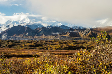 Fall secnic landscape in Denali National Park.