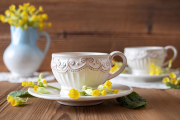 A cup of herbal tea with wild primula flowers
