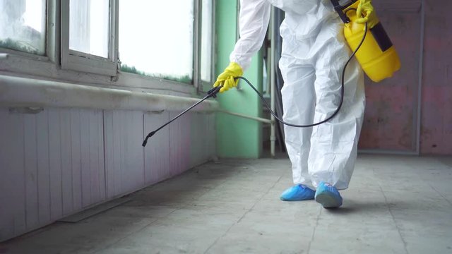 Exterminator in overalls carries out processing of the room from a mold