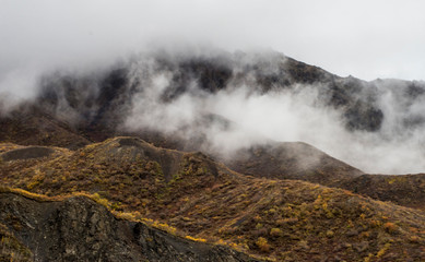 Scenic foggy landscape in Denali National Park.