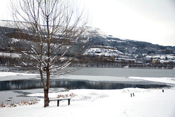 winter landscape with lake and trees