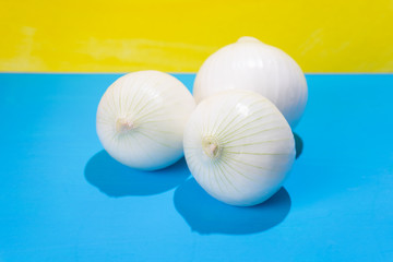 Set of onions on colorful background