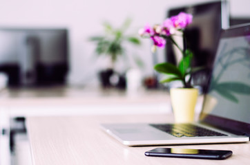 Beautiful and neat office desk with phone in focus, laptop and orchid flower.