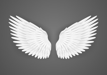 Fototapeta na wymiar Realistic Detailed 3d White Blank Wings Template Mockup. Vector