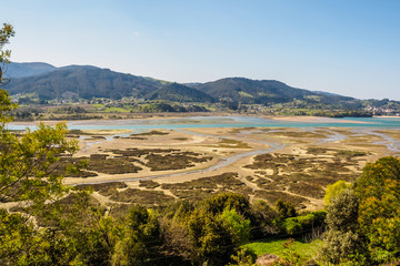 Marshes in the Urdaibai biosphere reserve
