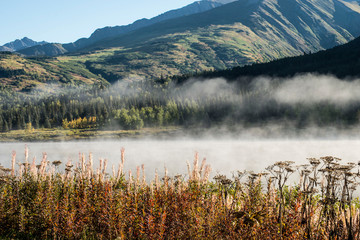 Abstract - early morning fog burning off a lake in Alaska.