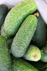 fresh cucumbers on table