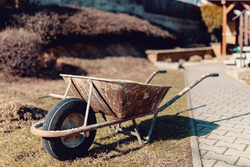empty old rusty garden wheelbarrow in spring time