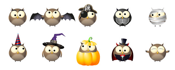 Halloween owls in fancy dresses/ costumes