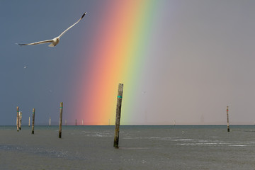 Ein fantastischer Regenbogen in Harlesiel mit Blick auf die ostfriesische Inseln Wangerooge an der deutschen Nordseeküste