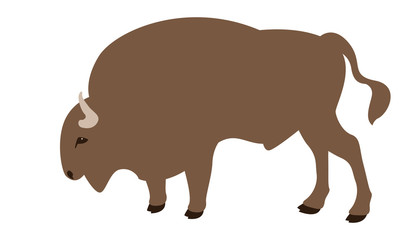 buffalo, vector illustration,   flat style,profile