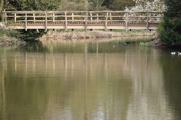 Fototapeta na wymiar Odbicie lustrzane mostu na wodzie