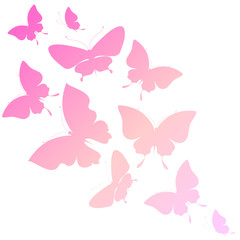Fototapeta na wymiar beautiful pink butterflies, isolated on a white