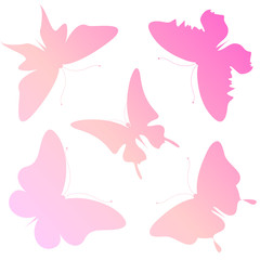 beautiful pink butterflies, isolated  on a white