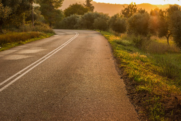 empty old country side rural environment soft focus car road in park outdoor place and bright sunset yellow lighting 