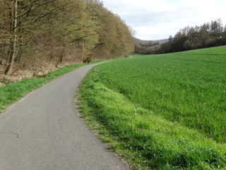 Fototapeta na wymiar Radweg Wanderweg bei Delligsen