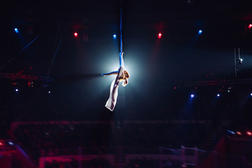 Fototapeta na wymiar Girl's aerial acrobatics in the Circus.