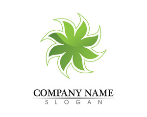 Tree leaf vector logo design, eco-friendly concept.