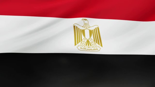 Egypt flag waving in wind video footage  Realistic Egypt Flag background. Egypt Flag Looping Closeup