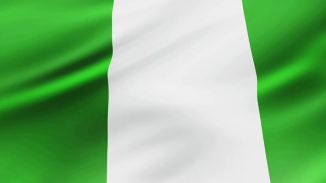 Nigeria flag waving in wind video footage  Realistic Nigeria Flag background. Nigeria Flag Looping Closeup