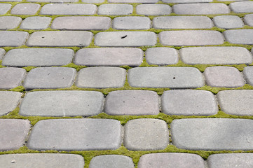 paving stone, texture
